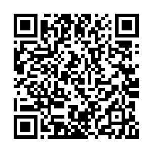 不过此时他们见到凯瑟琳公主正在跟格里斯战斗二维码生成