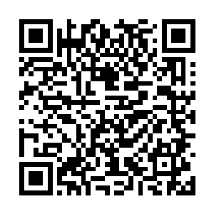 不过此时的龙傲天却也并没有刻意的去寻找龙婷婷二维码生成