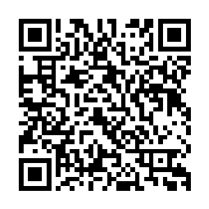 不过流墨墨在得知那些华灯其实可以镇压之后就可以强制收起来二维码生成