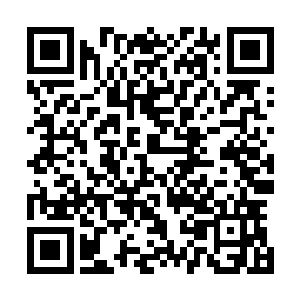 不过满心欢喜的马里奥却没注意到斯科拉那忐忑不安的表情二维码生成