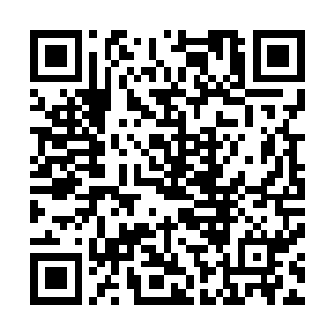 不过现在企业在她的面面俱到的匡扶下已经完全形成了规模二维码生成