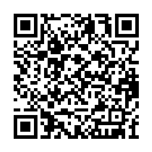 不过现在是真的没有太多的时间来例会这帮家伙二维码生成