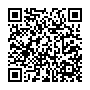 不过由于我和切萨目前决定对你的一些具体信息先行保密二维码生成