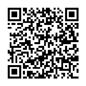 不过目光望向可爱的小金的时候都充满了无边的恐惧二维码生成