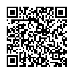 不过看伊桑现在的样子应该是心中疯狂的成分已经衰减了狠毒二维码生成