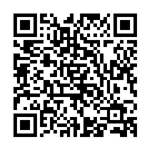 不过知道金在珉不同与人的身份之后少女们也瞬间感觉到了压力二维码生成