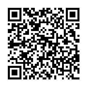 不过能够配得上美丽的王妃的人应该是个不错的王者二维码生成