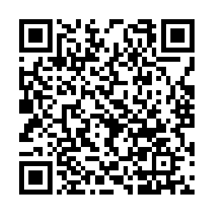 不过身上面的道袍还真的就是有那么一些不太合适二维码生成