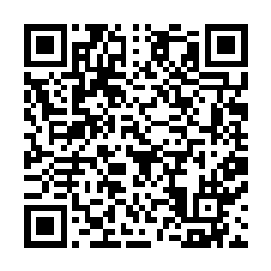 不过这一次的逻辑性和真实性都比叶秋吹牛的时候可靠许多二维码生成