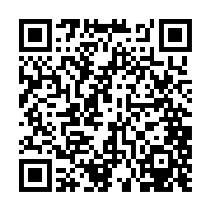 不过这些修士发现了连他们都探查不到等级的仙气二维码生成