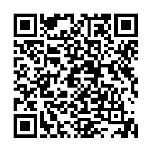 不过这已经让格里斯十分的满意了他竟然也变成了一只全属二维码生成