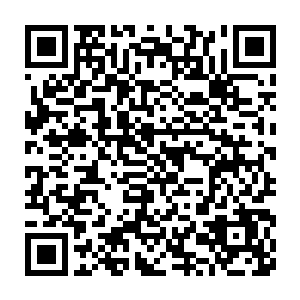 不过这道防御阵法也只是紧紧阻拦了一下之后就被天雷攻击破碎了二维码生成