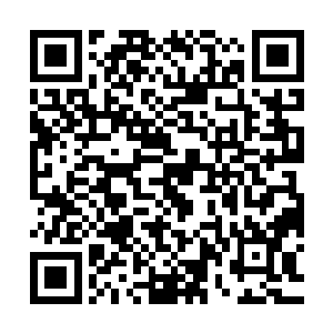 不过那缓慢的还不停往下掉石头渣子的情况让雪如楼都替他捉急二维码生成