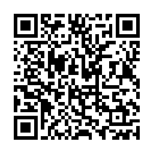 不过都是一些想要在水火谷冒险发上一笔的散修而已二维码生成