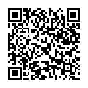 不过雪如楼无奈发现那些东西代表什么他并不知道二维码生成