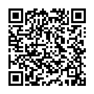 不过黄泉训练营却从来没有教授过任何成系统的格斗术二维码生成