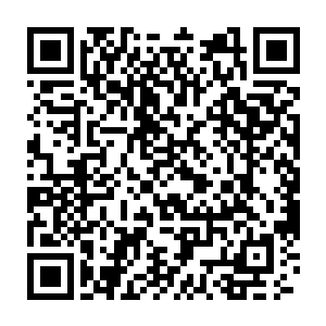 与一群一样受到媒体密切关注的政界人士一同享用如此普通的晚餐时二维码生成