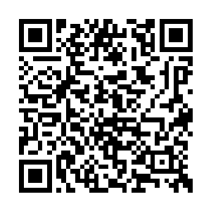 与李蘭枫伪装的黑袍人一起观看机甲大赛的场景二维码生成