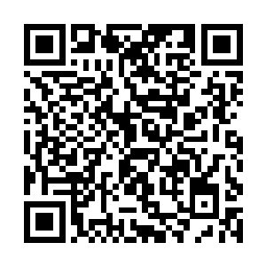 与蓝蓝关系极好的梁琪见到蓝蓝又陷入了迷醉的状态二维码生成
