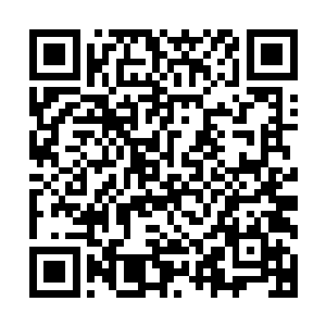 与辰皇帝国敌对的各方组织各地实力几乎在同时发出一个号令二维码生成