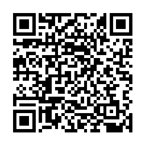 与阳光透过玻璃染在她发丝上的金色形成了鲜明的对比二维码生成