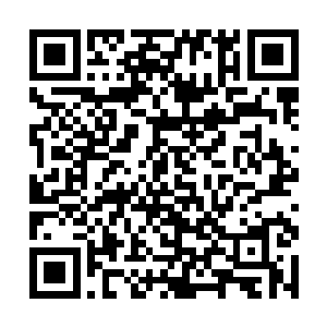 专注地看着金色光晕一圈圈顺着禁制线条向外扩散着二维码生成