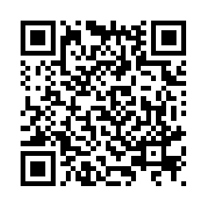 专门将七公主从流血之地请了回来二维码生成