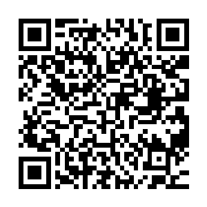 专门用来对付海公公的……这就是南宫小叔给苏落留下的底牌二维码生成