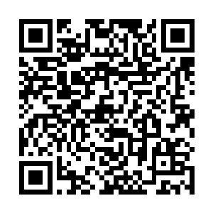 且上面还可以清晰的发现一些诡异莫测的邪异魔纹……二维码生成