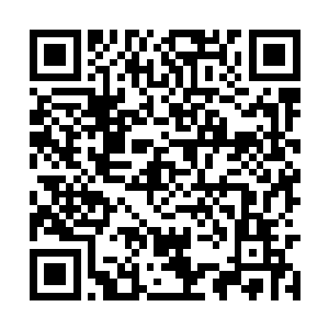 且不说这些大能们循着那金光飞走的方向追摄过去二维码生成