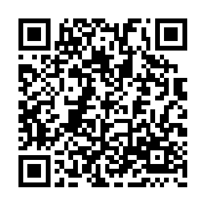 且不说那位进入京城礼部衙门当大官的宋家玉树二维码生成