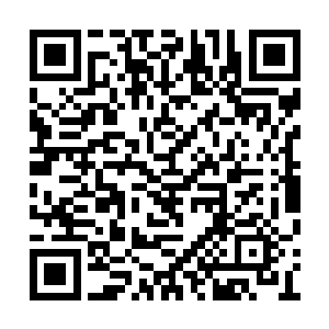 世界上所有人给予他的攻击也没有秦洛一个人多二维码生成