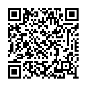 世界赌协理事……自然会维持赌局的公平公正的二维码生成