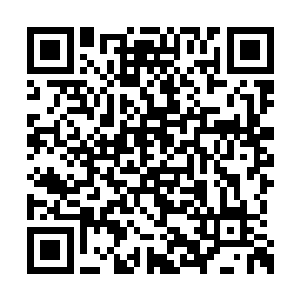 东京电影节在绿毯上介绍两岸代表团称呼的时候二维码生成