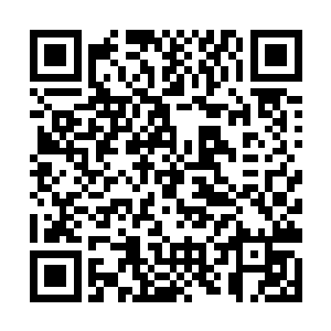 东方夏雪那如星辰般明亮的眸子一眨不眨的看着张智二维码生成