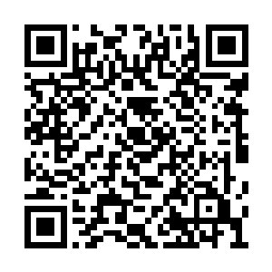 东方洛今天注意力全部集中在小霸王一个人身上二维码生成