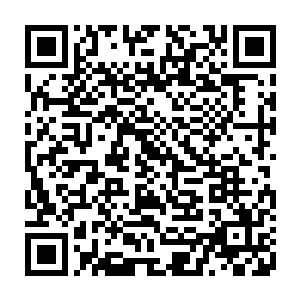 东皇大帝之所以不敢把他们的根基都毁灭掉估计是怕他们撑不了多久就死掉了二维码生成
