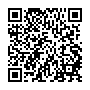 东黎云听到白芷璃居然直接在这么多人的面前说他嫌弃自己二维码生成
