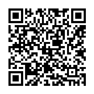 丝毫不介意铁星泽拿他使唤――他现在只有感激的二维码生成