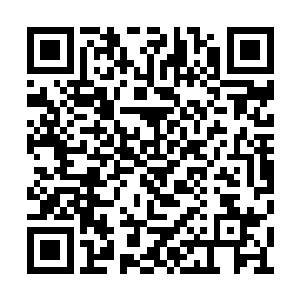 丝毫不给我布下阵中阵和利用结界困住他的机会二维码生成