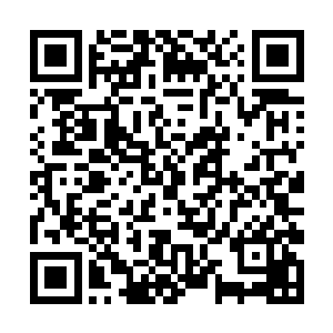 丝毫没有因为对方是太乙金仙就有半点胆怯或者惧意二维码生成