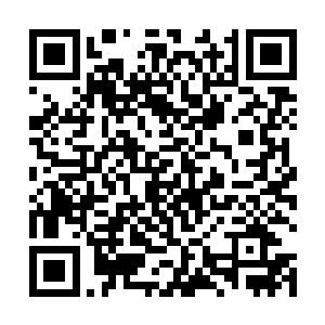 丝毫没有意识到旁边这个人面兽心的娃娃在给自己下套二维码生成