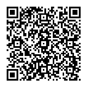 两个人便在这样一个狭小的空间里展开了一场你追我赶的战斗了……秦方的拳头加上速度二维码生成