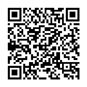 两个人的胜败将完全决定叶秋接下来身体的控制权二维码生成