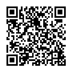 两个先后登上皇位的年轻皇帝都根本没心思理北上复国大计二维码生成