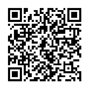 两个女人的话题立即转移到了陆为民包里那个大哥大上去了二维码生成