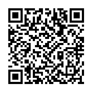 两个明显是姐弟的两个少年少女被一伙强盗包围二维码生成