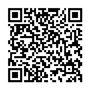 两个木灵释放出来的绿色气息仿佛一个水缸一样将自己包裹着二维码生成