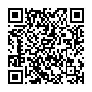 两个老头都是接受贝海的研究所研究资金资助的海洋生物学家二维码生成