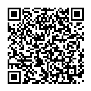 两位元婴期修士又组织各门派的金丹修士将自己门派的弟子都带回去二维码生成